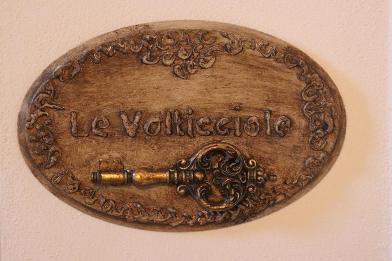 B&B La Taccola Castelnuovo di Val di Cecina Exteriér fotografie
