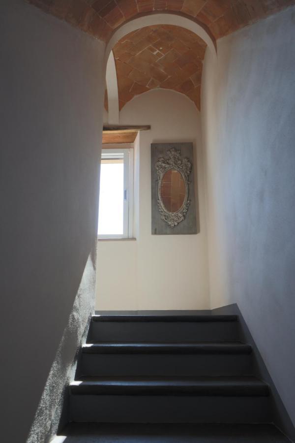 B&B La Taccola Castelnuovo di Val di Cecina Exteriér fotografie